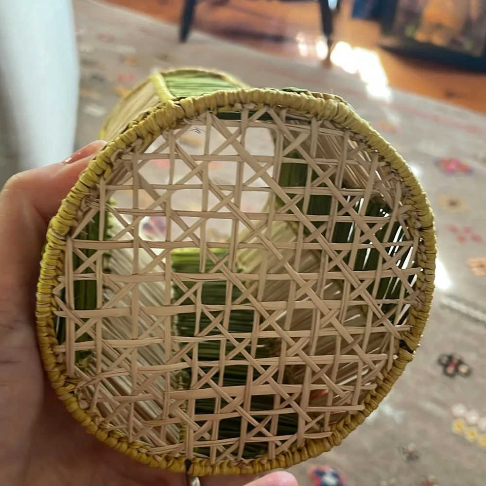 ⭐️New⭐️Raffia Hurricane